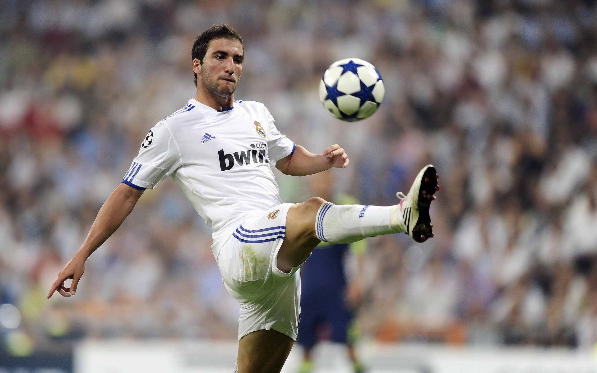 帕利斯特赛后感谢团队支持，帕利斯特赛后感谢团队支持的话